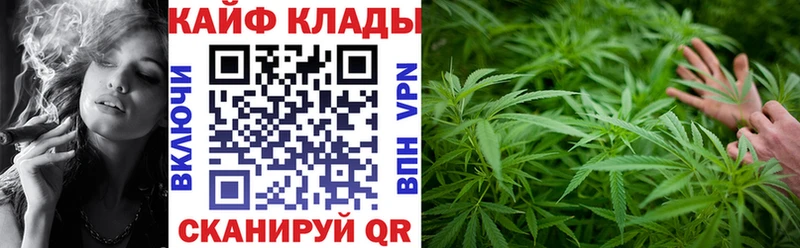 Наркошоп купить Гашиш  Галлюциногенные грибы  Мефедрон  Кокаин  АМФЕТАМИН  Тында