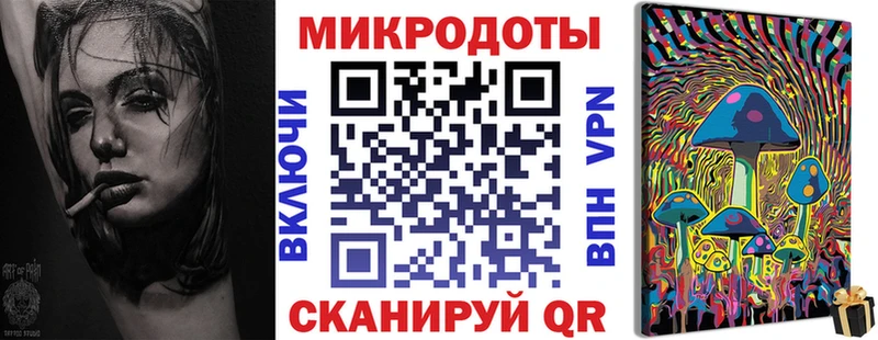 Купить  Тында  Галлюциногенные грибы Psilocybe 